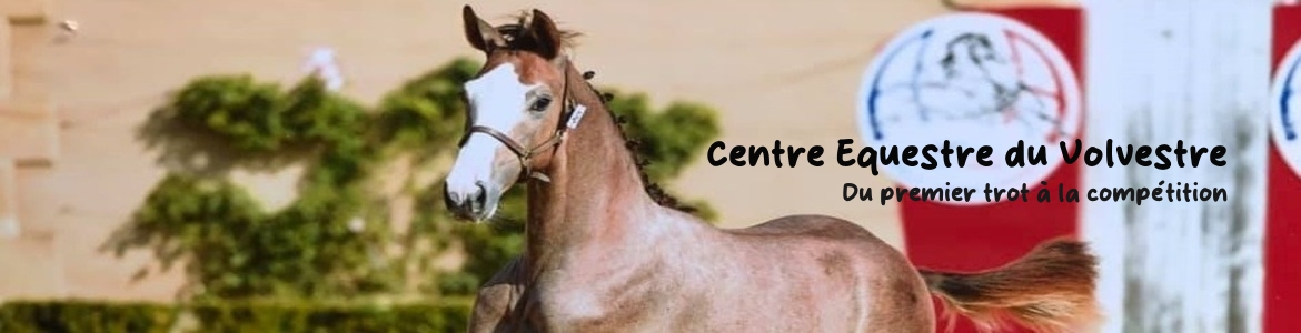 Centre Equestre du Volvestre